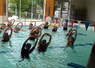 AQUAGYM